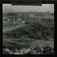 Böhl glass slide 61.2/1686